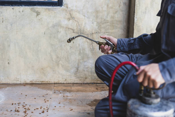 Reliable Lake Hamilton, FL Pest Control Solutions